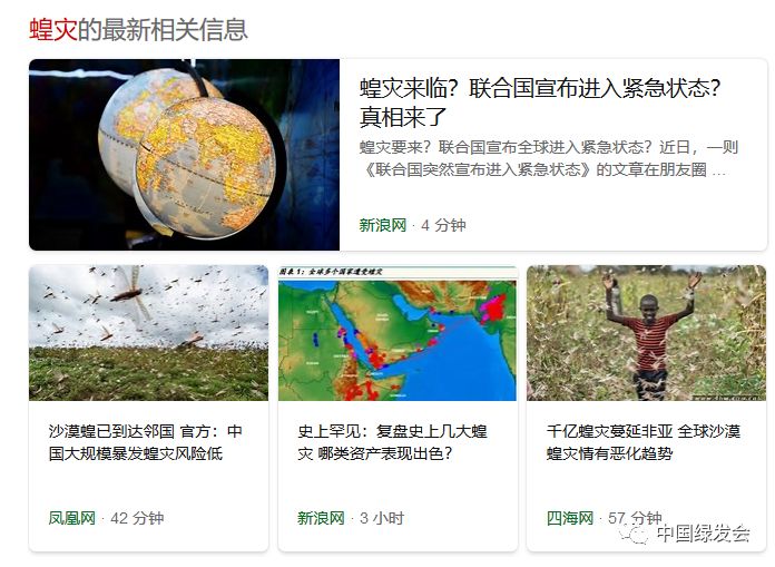 最新蝗灾视频，小明的奇妙观察日记与友情之旅的启示