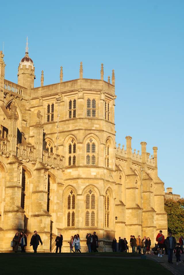 工程机械设备价格 第290页