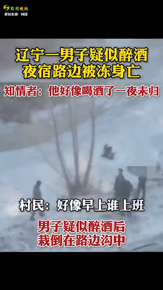 辽宁最新疑似问题解析步骤指南