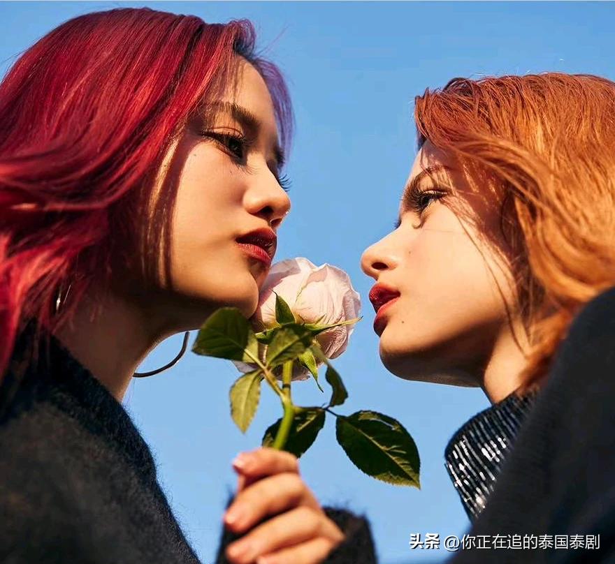 最新抢购资讯，抢购心灵的旅行盛宴，感受自然的宁静