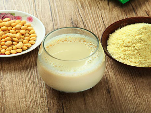 探寻豆奶植物蛋白的奥秘，最新资源一览