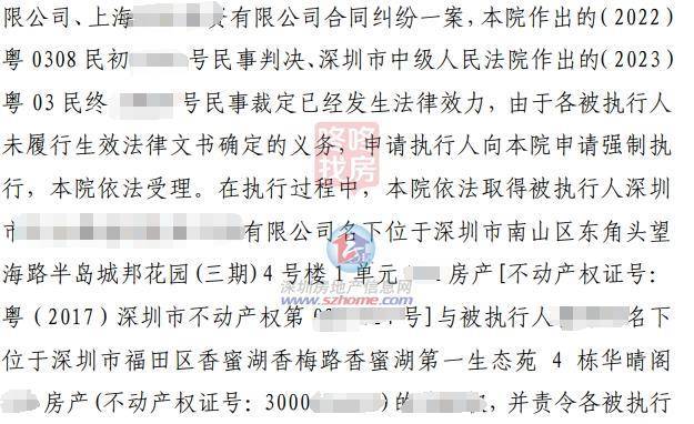 一肖一码一一肖一子深圳,连贯性方法执行评估_特别版61.463