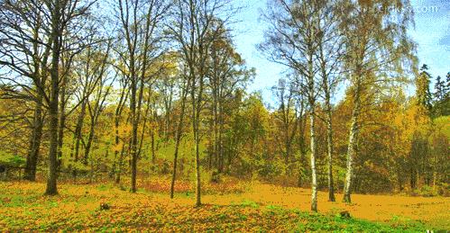 沙洋最新动态，时代脉搏下的蓬勃发展