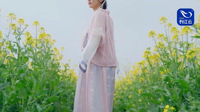 沙洋最新动态,时代脉搏下的蓬勃发展