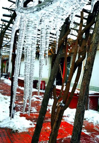 故宫最新动态报道