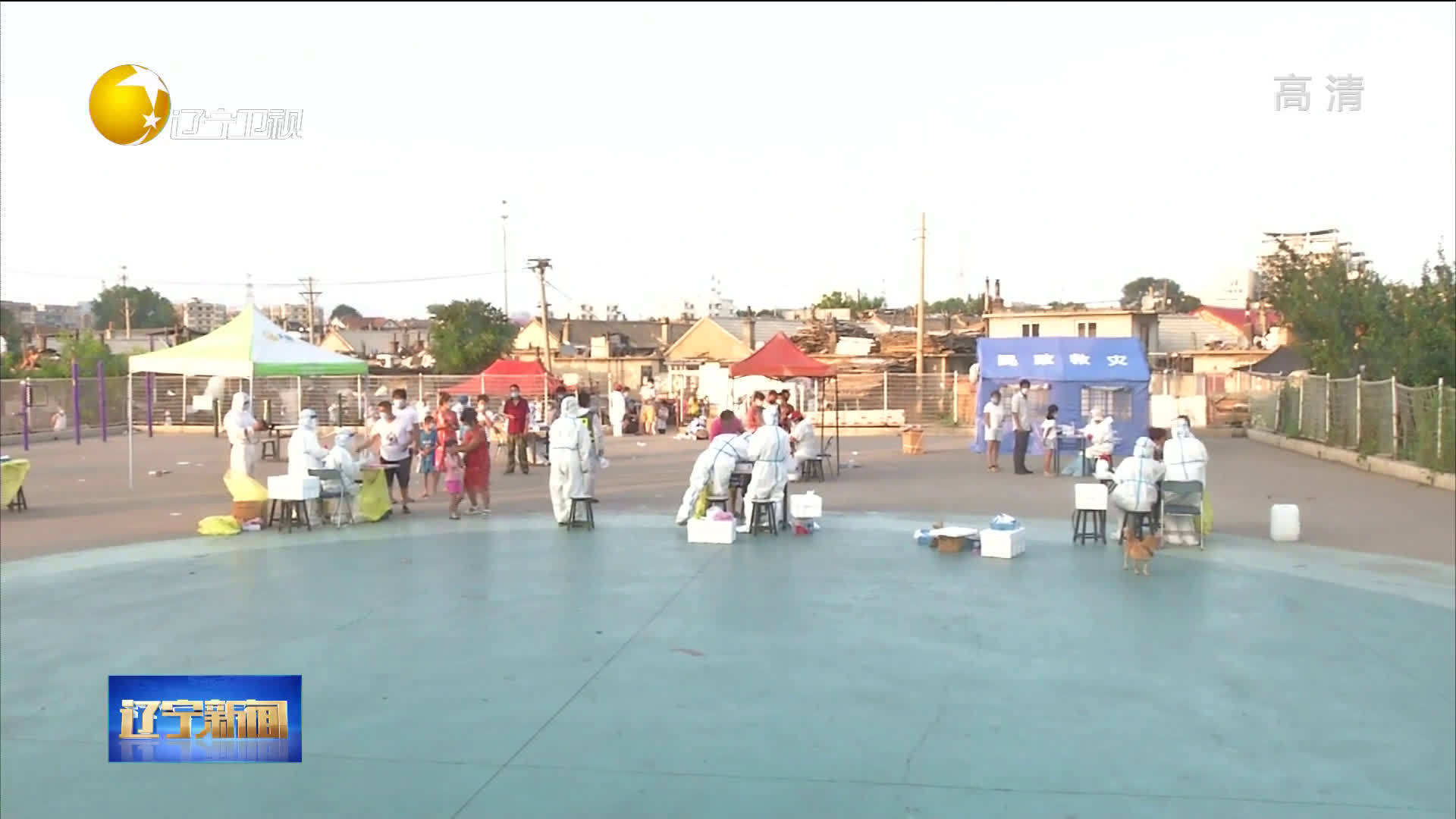 大连最新疫情动态及观点论述