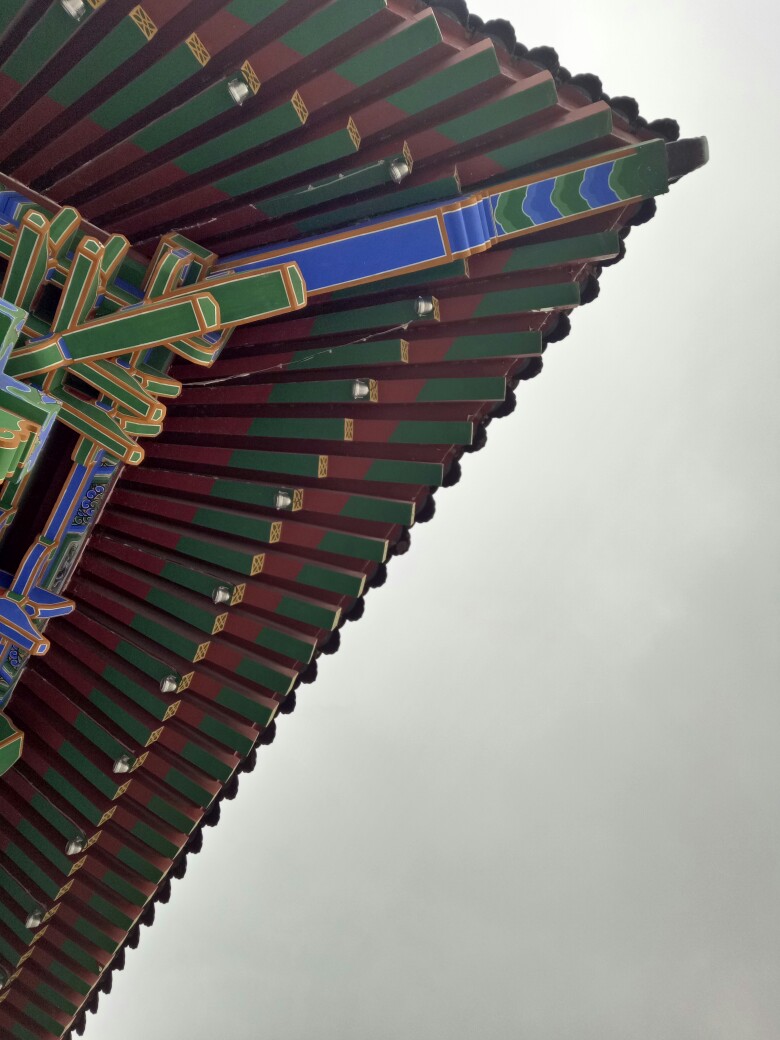 飞檐最新报告发布,最新动态与研究成果汇总