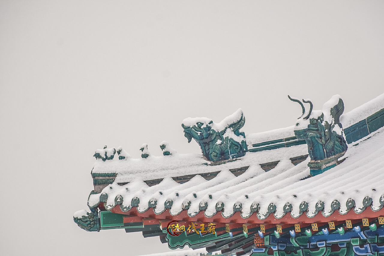 飞檐最新报告发布,最新动态与研究成果汇总