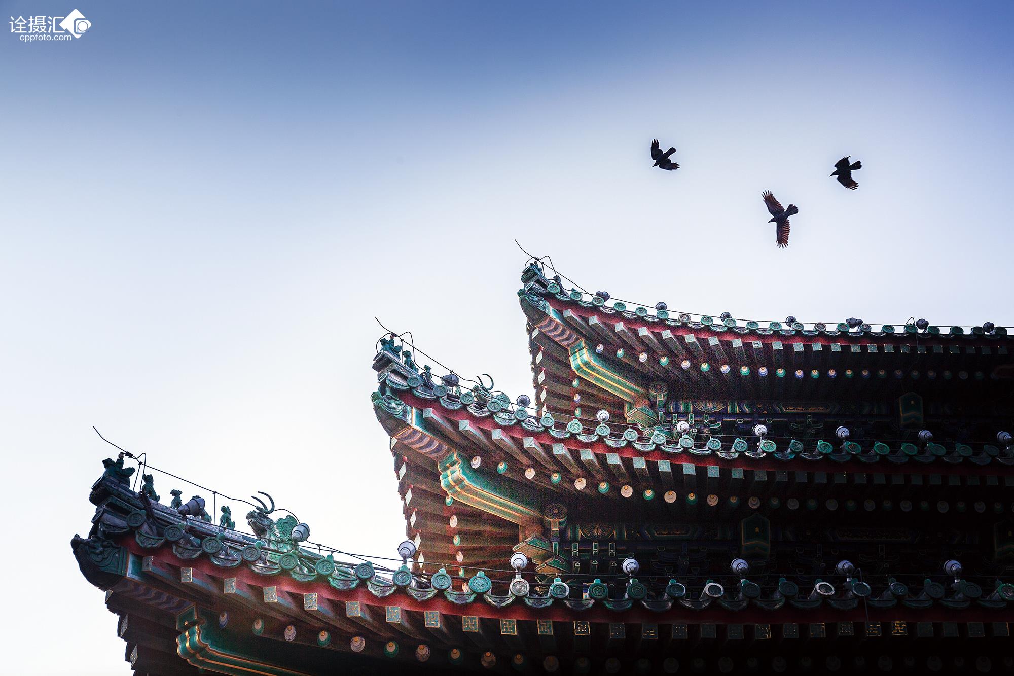 飞檐最新报告发布,最新动态与研究成果汇总