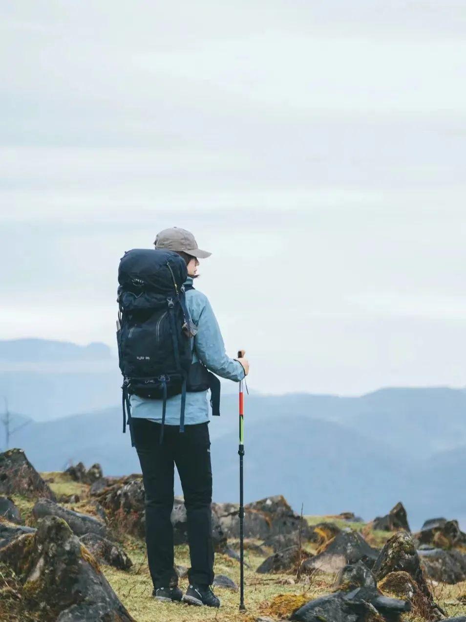 天津最新假期及其观点论述解析