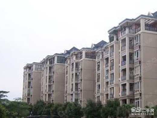 雅苑风采大揭秘，小红书上的最新风采展示