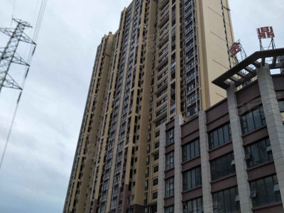 雅苑风采大揭秘,小红书上的最新风采展示