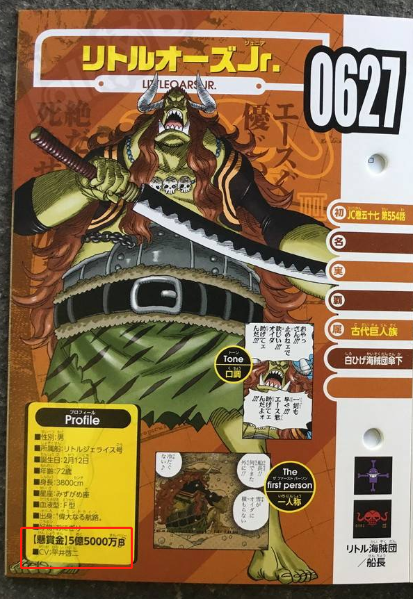 最新卡OP,开启学习之旅,魔法之门带来自信与成就感