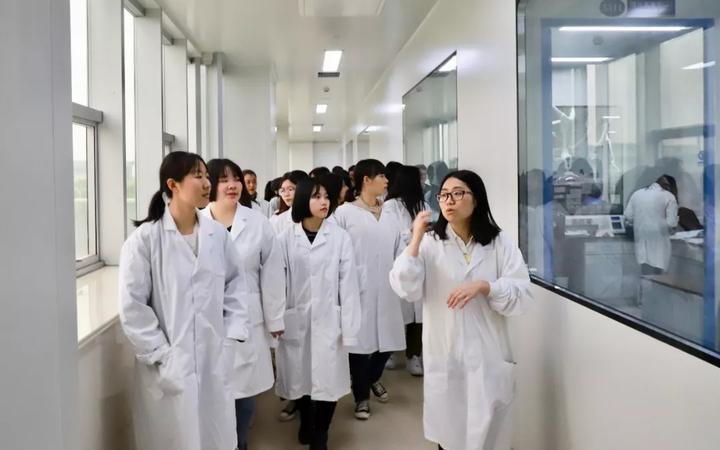 海正乘风破浪，开启无限可能的新篇章