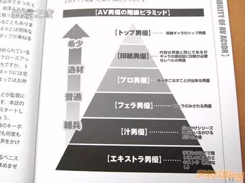 AV最新区,探索未知领域,开启人生新篇章的励志之旅