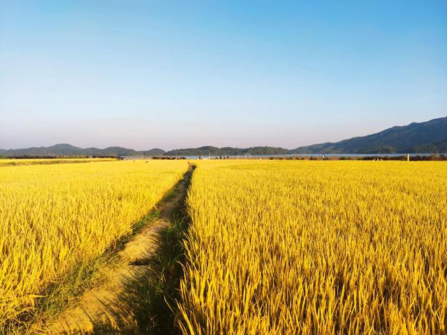 大塘面最新科技,重塑生活,未来体验之光