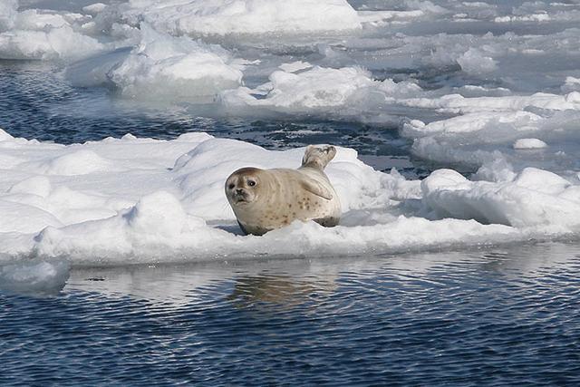 浮力网最新动态,快乐与陪伴一网打尽