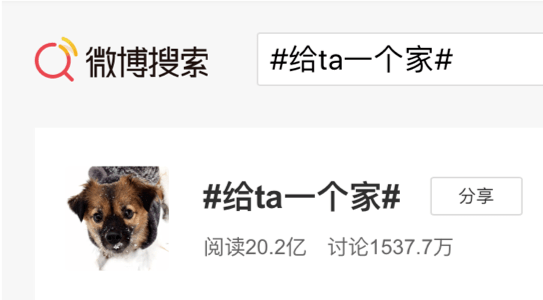 澳门三肖三淮100淮,稳固计划实施_程序版72.773