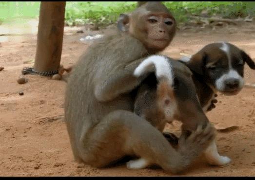 印度最新战争消息与友情故事的交织时刻