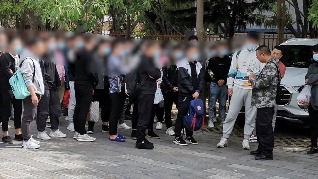 犯罪团伙深度解析与应对指南，最新动态与应对策略