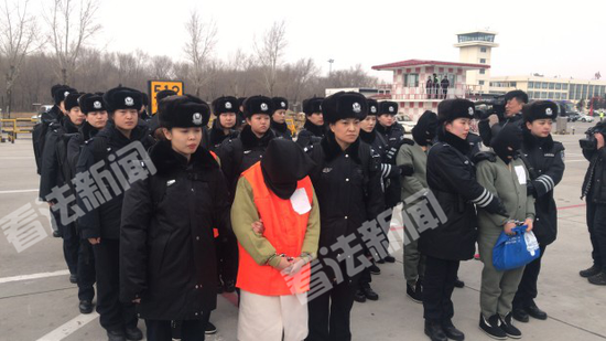 犯罪团伙深度解析与应对指南,最新动态与应对策略