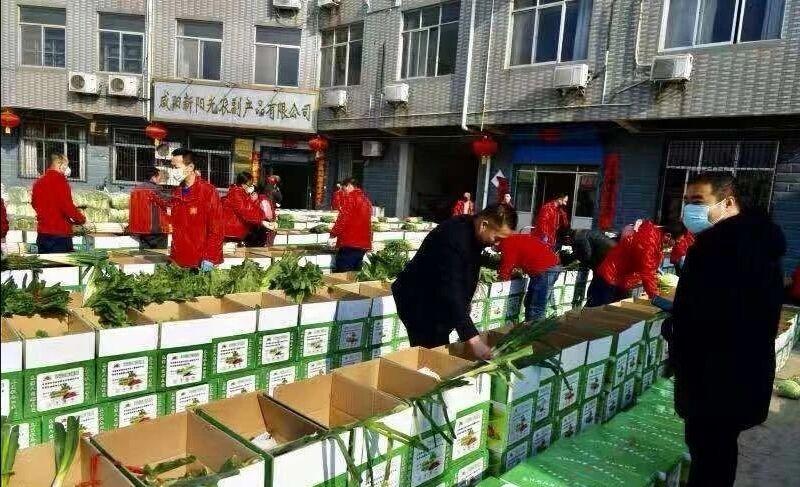 新疆疫情最新动态更新