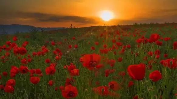 新疆疫情最新动态更新