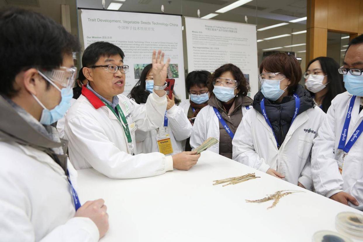 最新国产大豆动态更新消息????