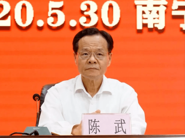 陈武最新职务,多维度视角下的深入探究