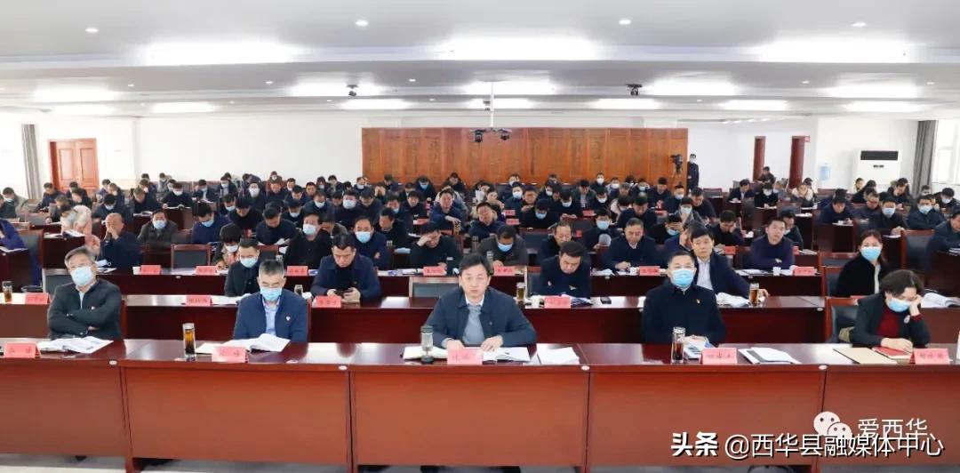 地方债券最新信息详解,获取与理解指南