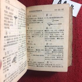 澳门三肖三码精准100%新华字典,定性解析明确评估_颠覆版85.686