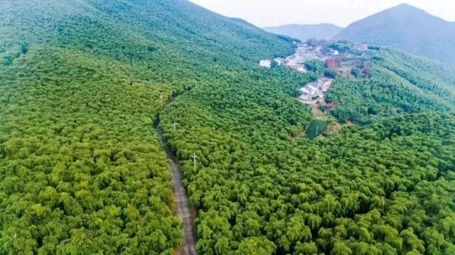 杭州王位山最新攻略指南，探索最新旅游体验！