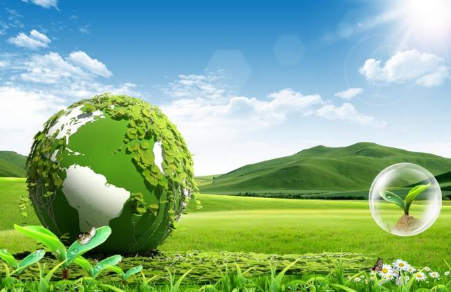 新澳天天彩免费资料大全特色,具象化表达解说_开放版62.268