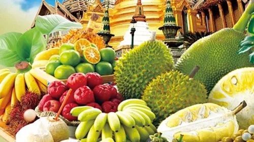 4949正版免费资料大全水果,全方位展开数据规划_豪华款13.362