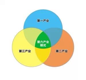 2024年管家婆一肖中特,科学分析解释说明_分析版33.197