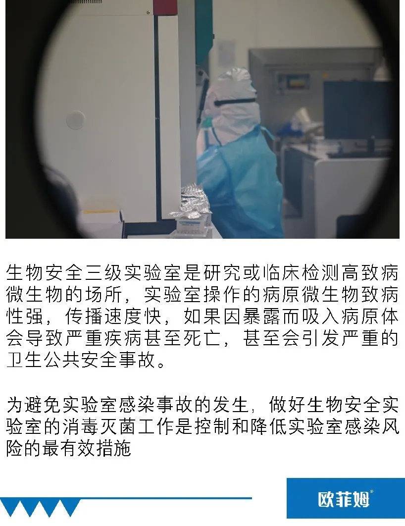 新澳天天开奖资料大全94期,安全性方案执行_分析版65.110
