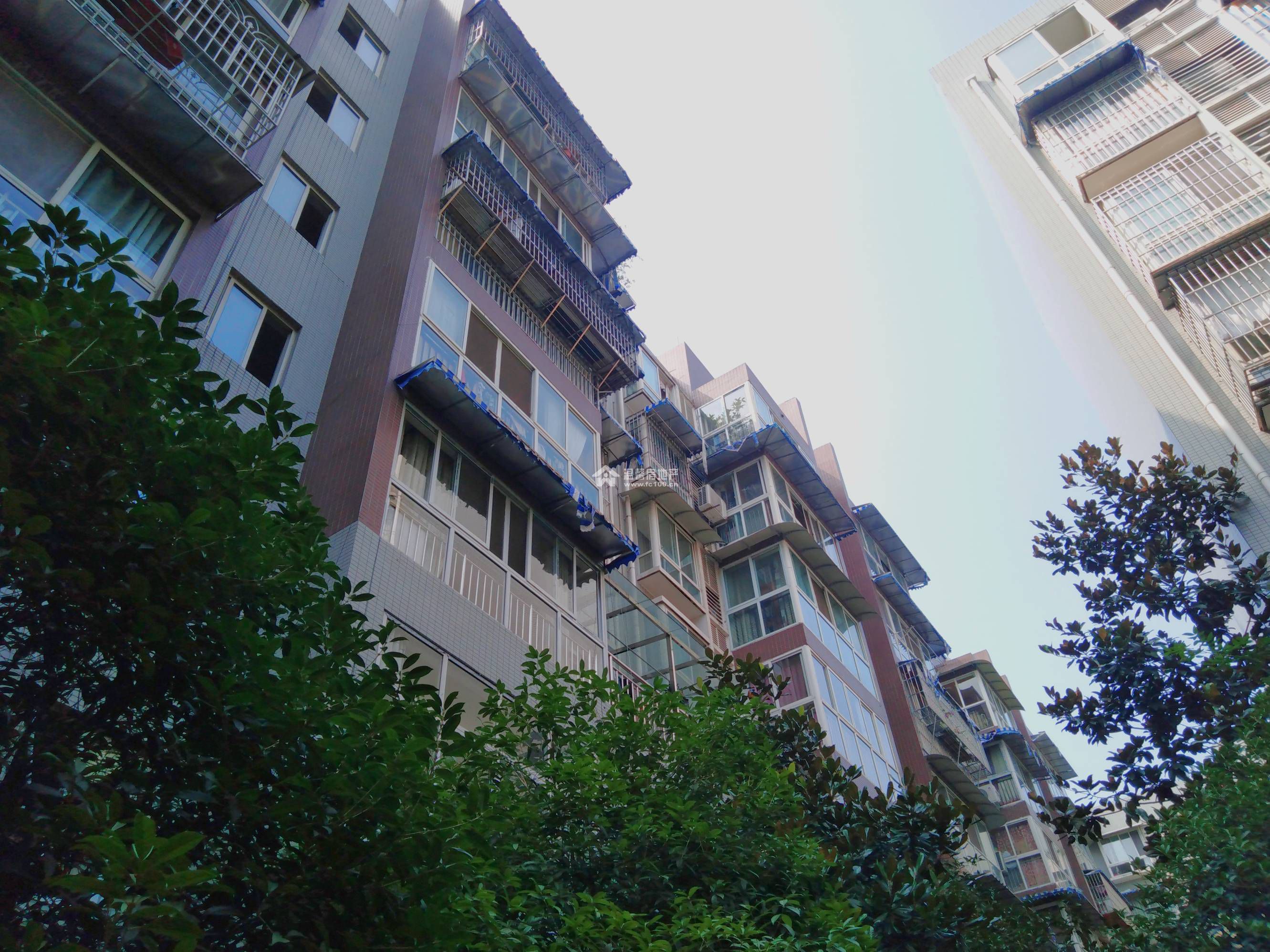 武汉最新逸景，高科技产品的革新之旅探索