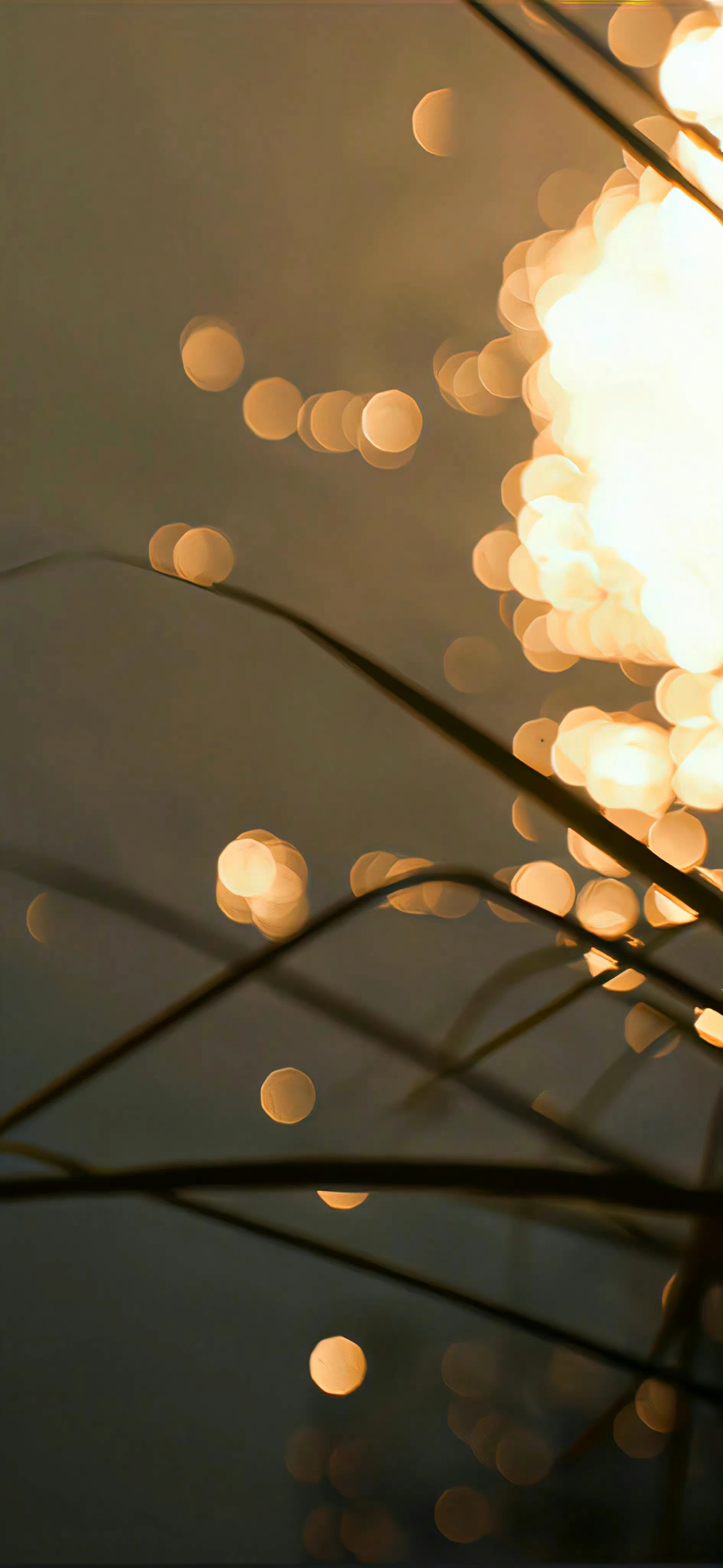 意境最新探索与阐述,最新情况一览