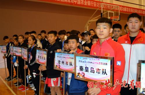 河北驾校最新动态,小巷里的驾驶梦想实现地