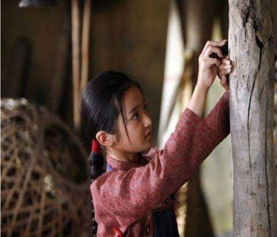 工程机械设备价格 第232页