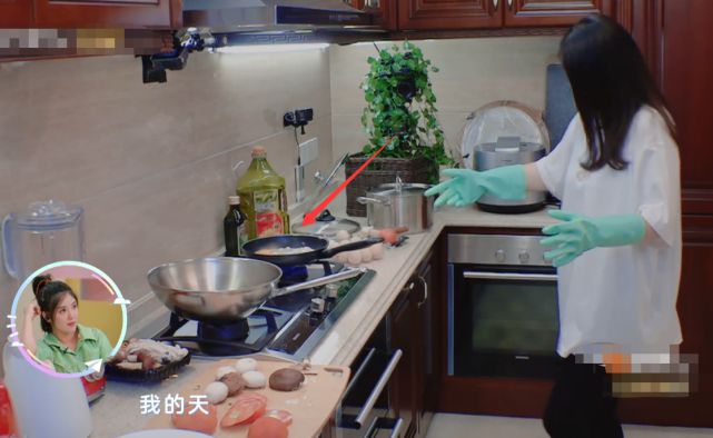 烹饪入门指南,最新下厨房详细步骤教程