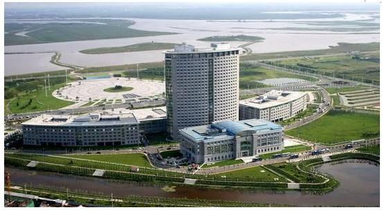 哈市最新建设下的温馨家园,变迁中的友情力量与日常故事