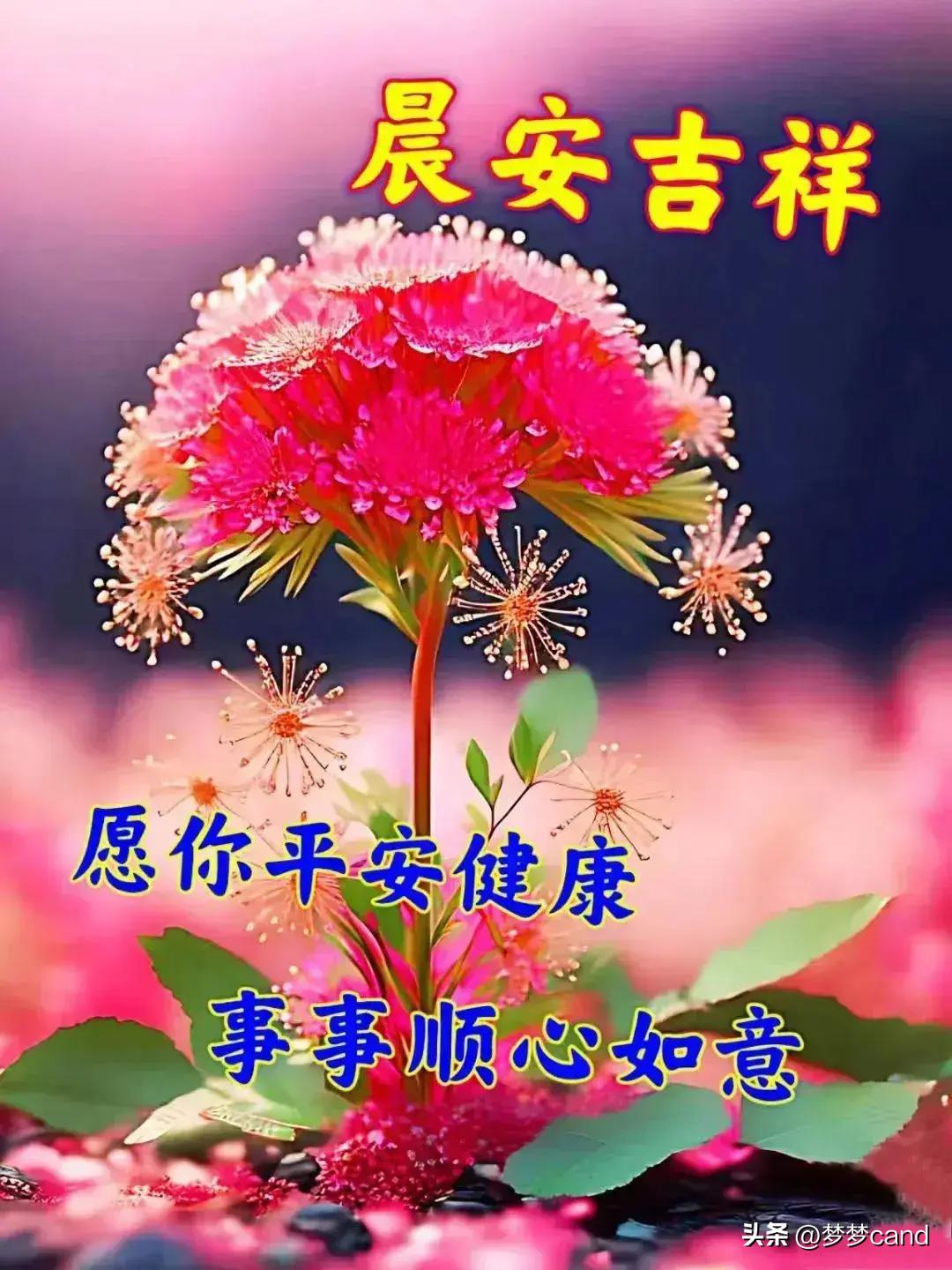 2024年天天彩免费资料,实践数据分析评估_高端体验版6.219