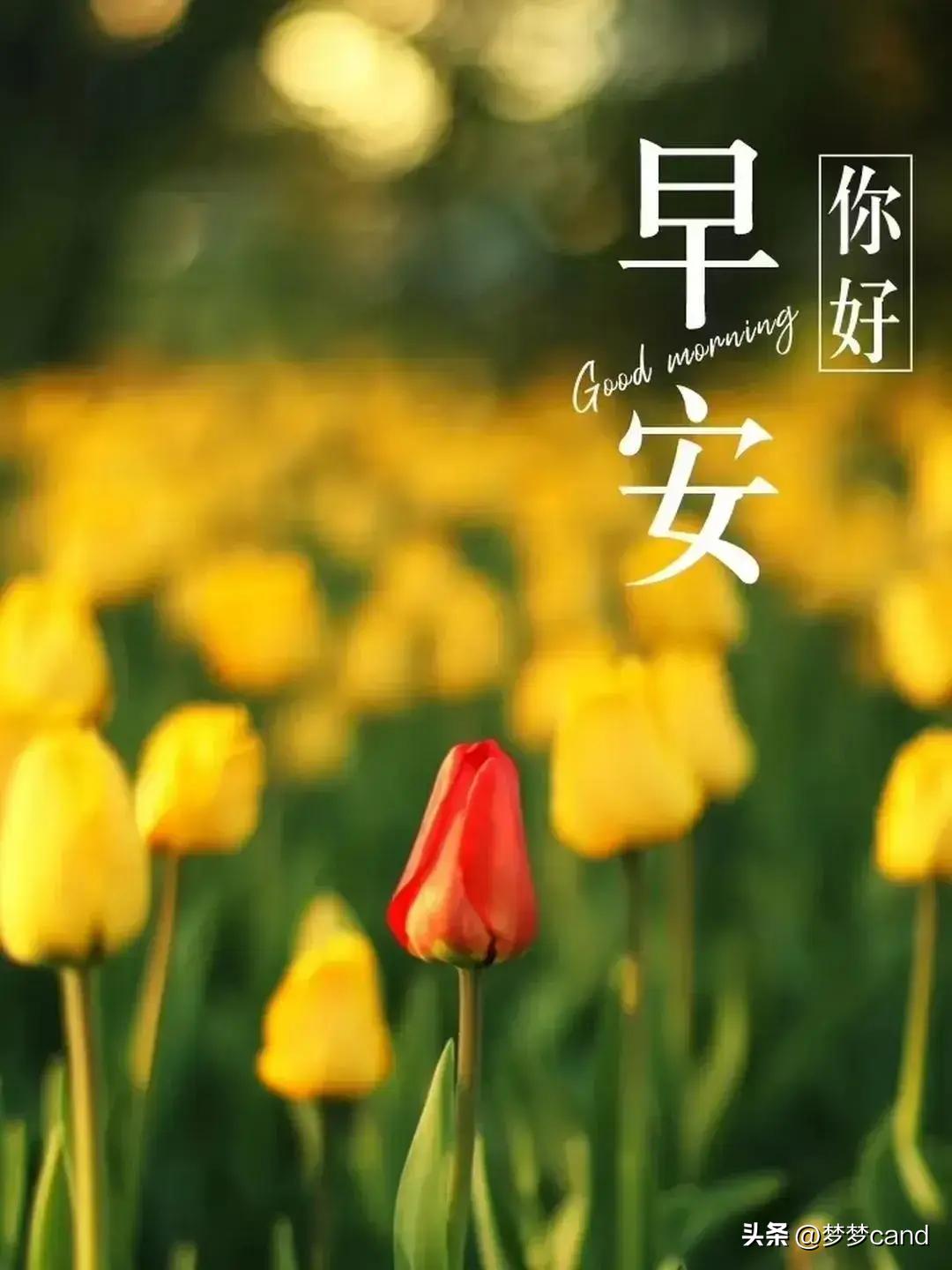 2024年天天彩免费资料,实践数据分析评估_高端体验版6.219