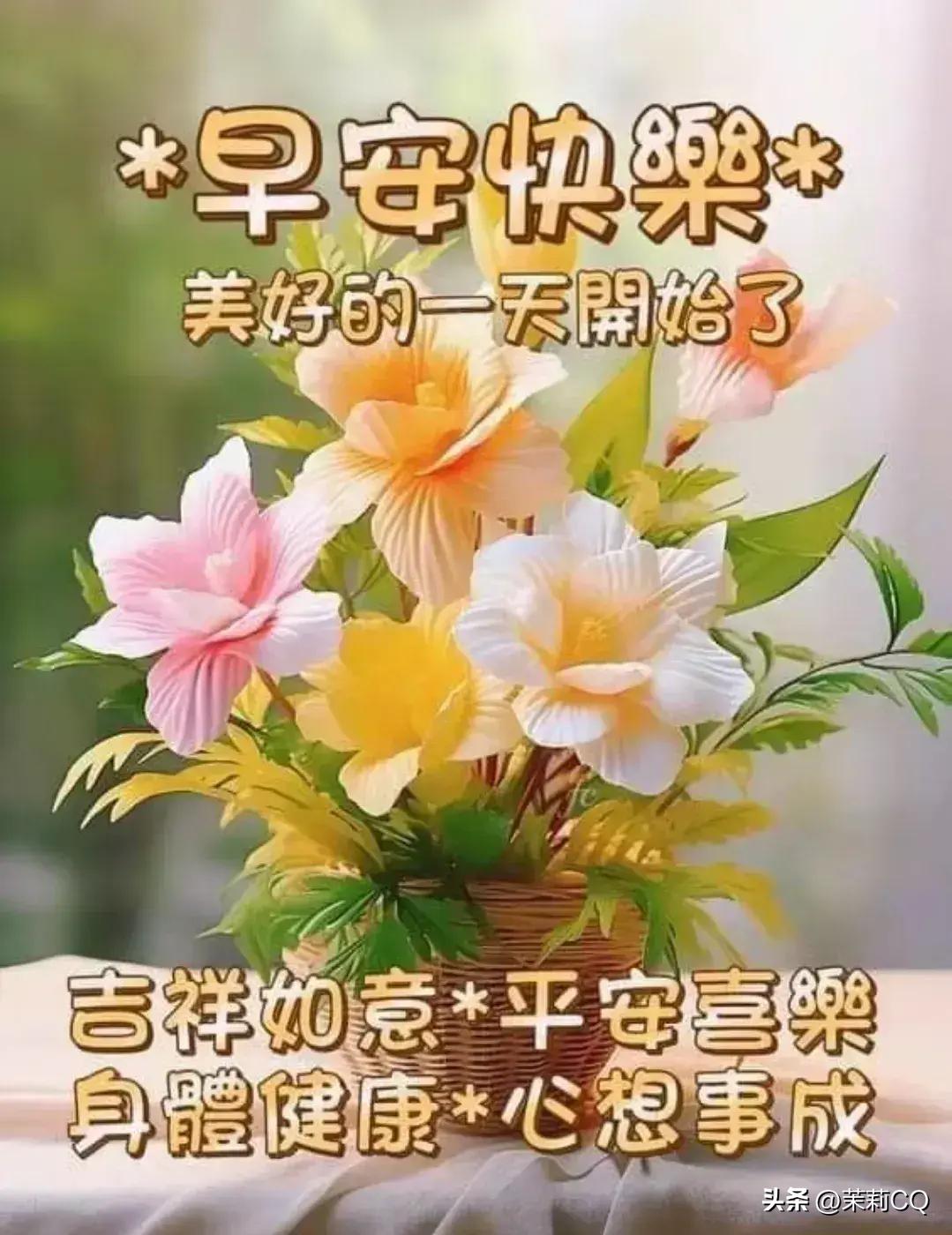 2024年天天彩免费资料,实践数据分析评估_高端体验版6.219