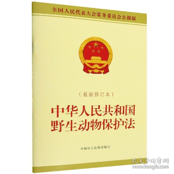最新保护法下的探秘之旅，小巷中的隐藏特色小店故事