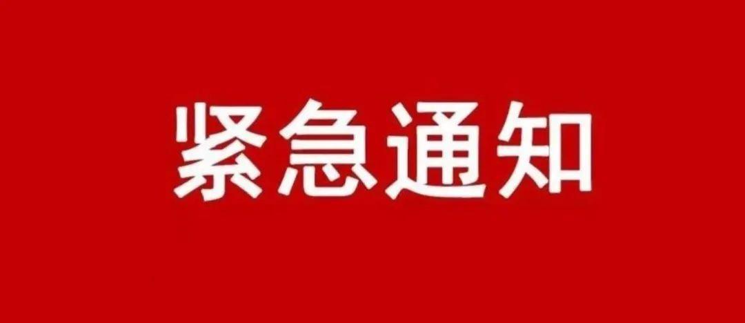 未来命运揭秘，重大事件回顾与影响分析——紧急通知速递