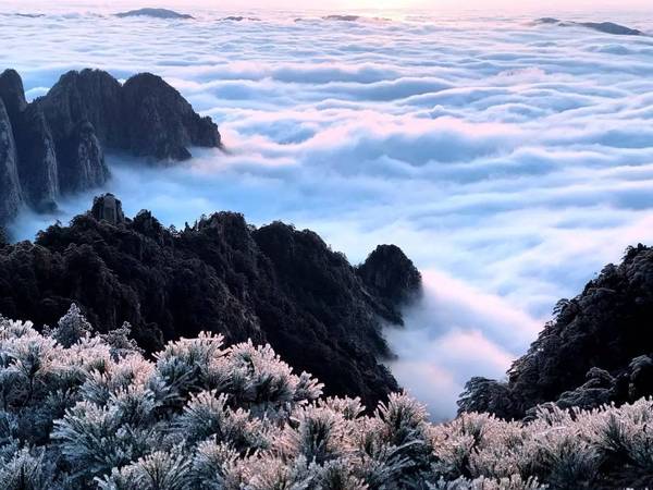 最新黄山门票观点论述，探索门票政策与旅游体验