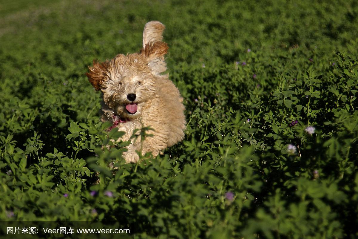 工程机械设备价格 第224页
