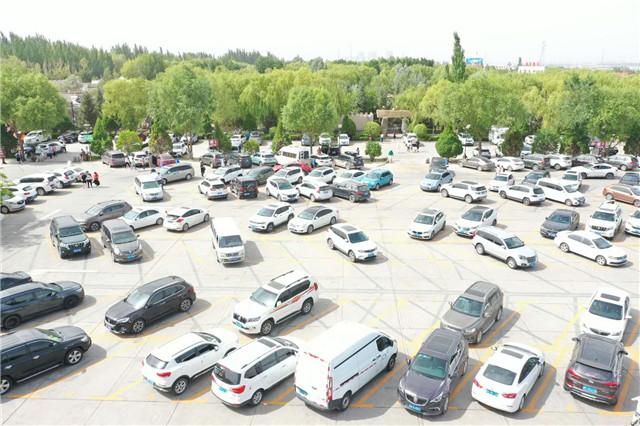 一码爆(1)特,数据化决策分析_定向版44.176